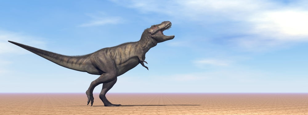 Tyrannosaurus Rex dinosaur standing in the desert Canvas Art - Elena DuvernayStocktrek Images (23 x 9)