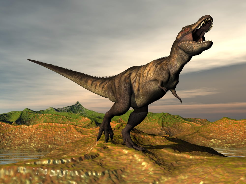 Tyrannosaurus Rex dinosaur walking in desert landscape Canvas Art - Elena DuvernayStocktrek Images (17 x 13)