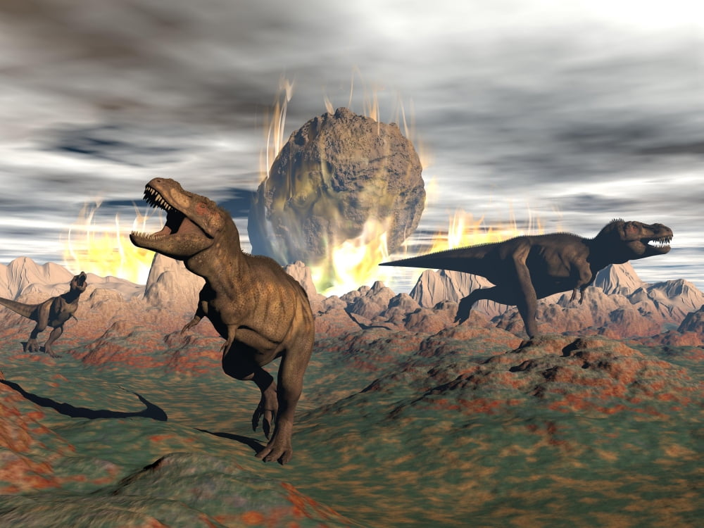 Tyrannosaurus Rex dinosaurs escaping a big meteorite crash Canvas Art - Elena DuvernayStocktrek Images (17 x 13)