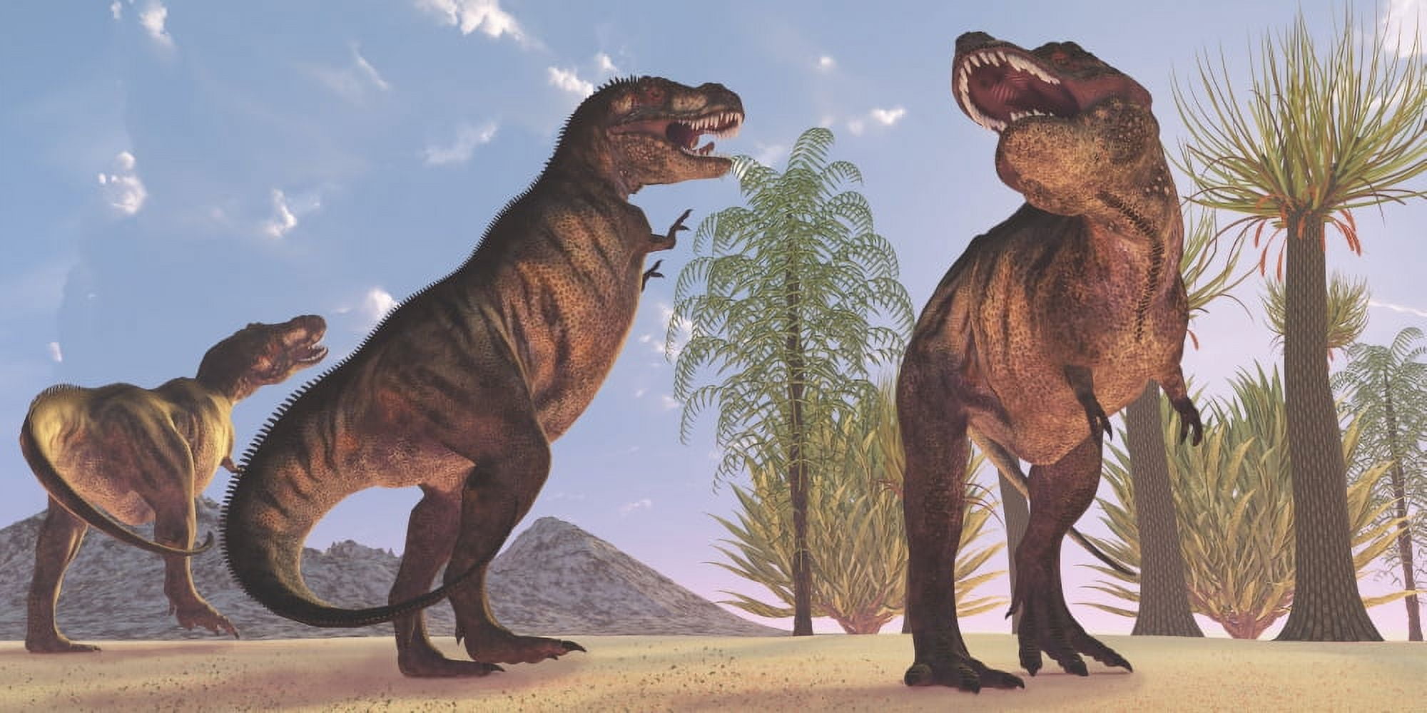 Tyrannosaurus Rex dinosaurs have a growling session Canvas Art - Corey FordStocktrek Images (20 x 10)