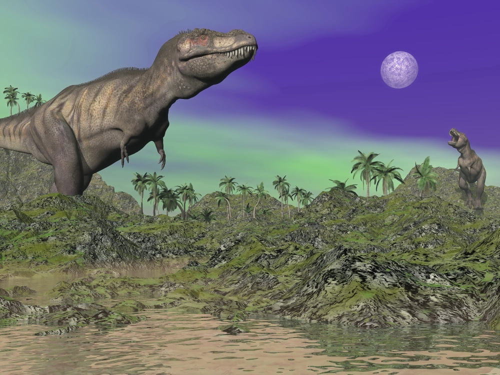 Tyrannosaurus Rex dinosaurs in prehistoric landscape at night Canvas Art - Elena DuvernayStocktrek Images (33 x 25)