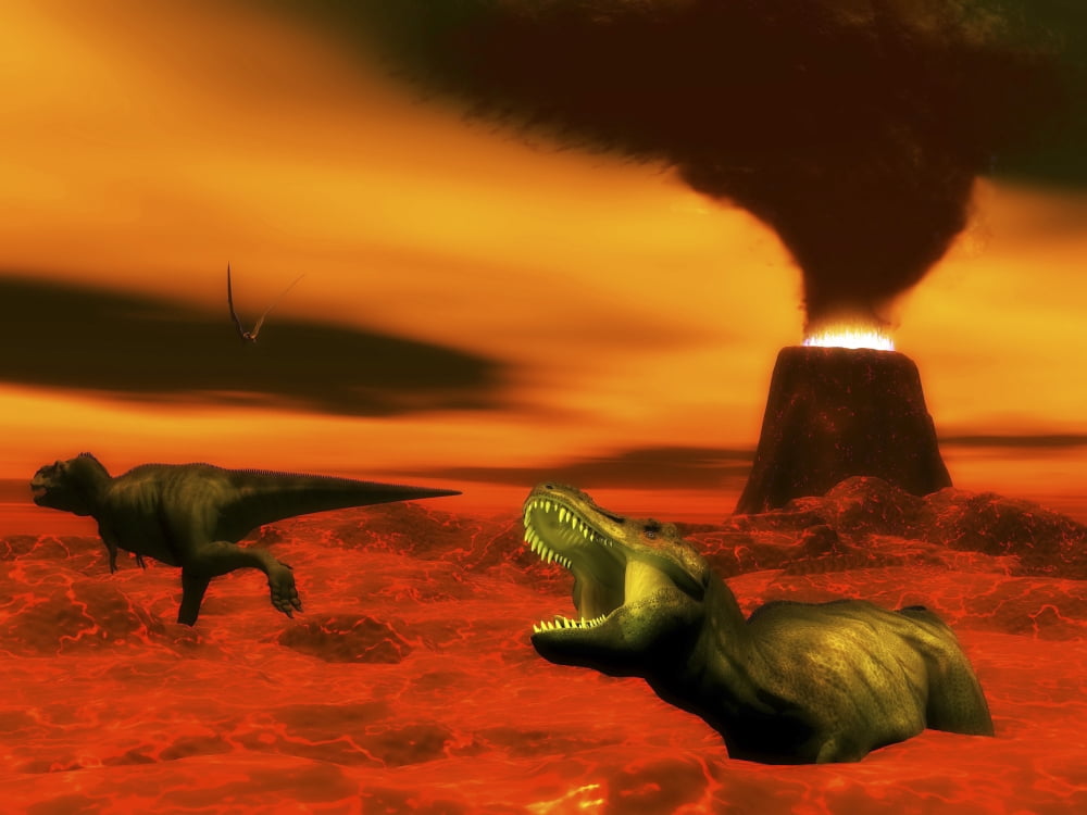 Tyrannosaurus Rex dinosaurs struggle to survive from a volcanic eruption Canvas Art - Elena DuvernayStocktrek Images (33 x 25)