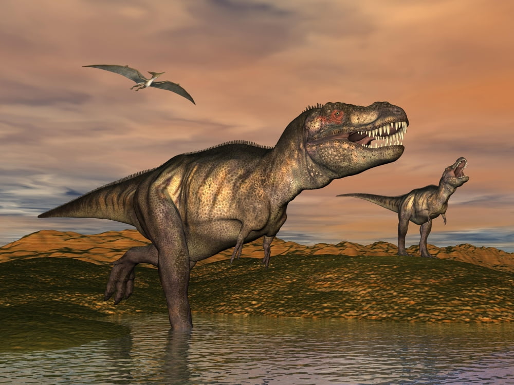 Tyrannosaurus Rex dinosaurs with pteranodon bird flying above Canvas Art - Elena DuvernayStocktrek Images (33 x 25)