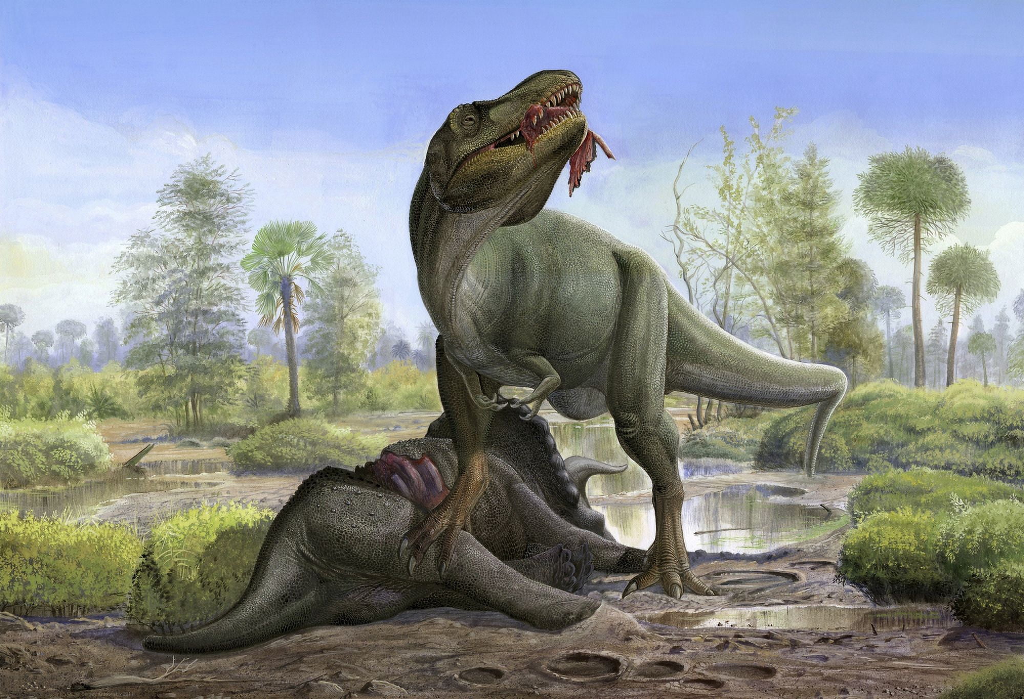 Tyrannosaurus Rex eats the carrion of a dead Triceratops Canvas Art - Sergey KrasovskiyStocktrek Images (34 x 24)