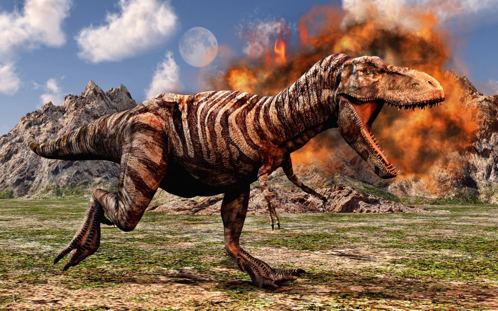 Tyrannosaurus Rex escaping a volcanic eruption Canvas Art - Mark StevensonStocktrek Images (18 x 12)