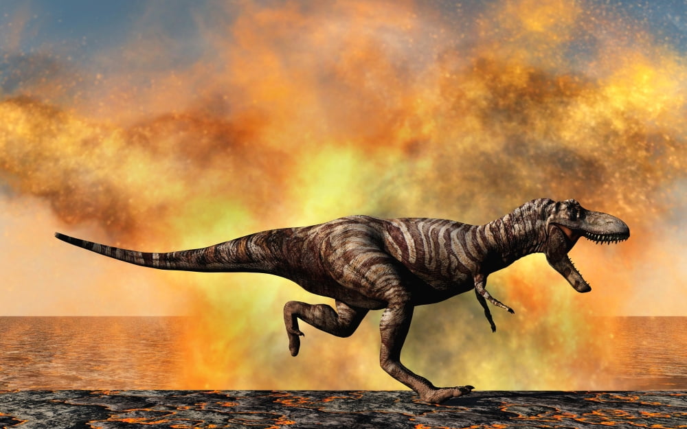 Tyrannosaurus Rex escaping from a violent fire storm Canvas Art - Mark StevensonStocktrek Images (36 x 23)
