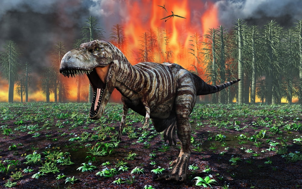 Tyrannosaurus Rex fleeing from a deadly forest fire Canvas Art - Mark StevensonStocktrek Images (18 x 12)