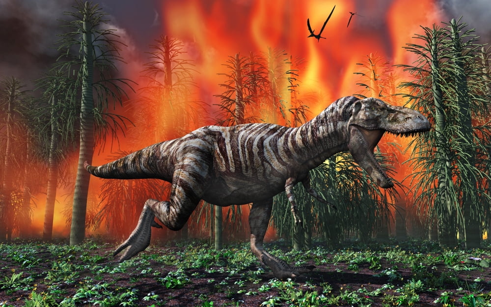 Tyrannosaurus Rex fleeing from a deadly forest fire Canvas Art - Mark StevensonStocktrek Images (36 x 23)