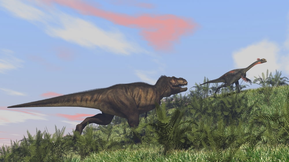Tyrannosaurus Rex hunting a Gigantoraptor in an open field Canvas Art - Kostyantyn IvanyshenStocktrek Images (38 x 22)