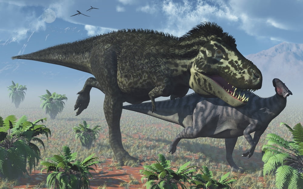 Tyrannosaurus Rex hunting a lone Parasaurolophus duckbill dinosaur Canvas Art - Mark StevensonStocktrek Images (18 x 12)