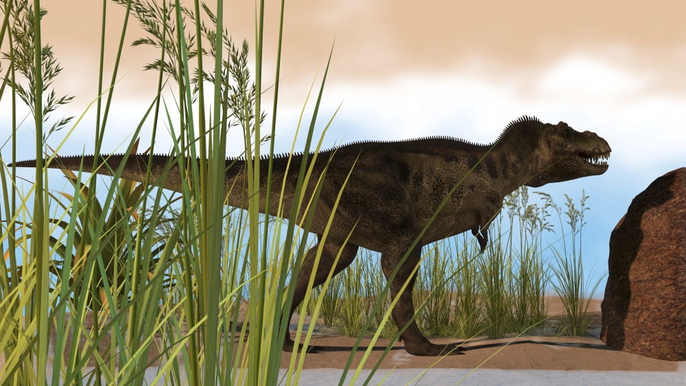 Tyrannosaurus Rex hunting for its next meal Canvas Art - Kostyantyn IvanyshenStocktrek Images (19 x 11)