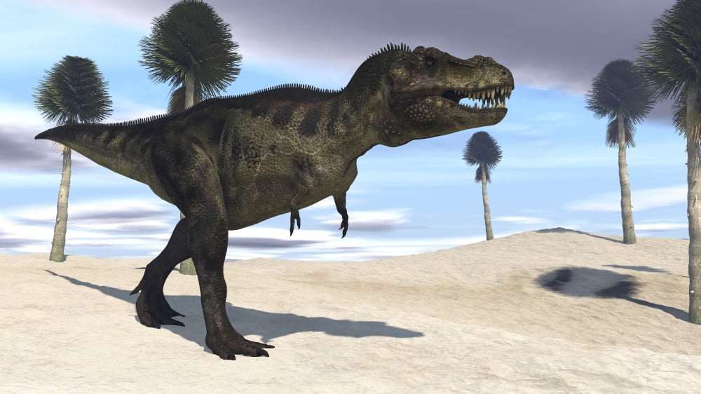 Tyrannosaurus Rex hunting for its next meal Canvas Art - Kostyantyn IvanyshenStocktrek Images (19 x 11)