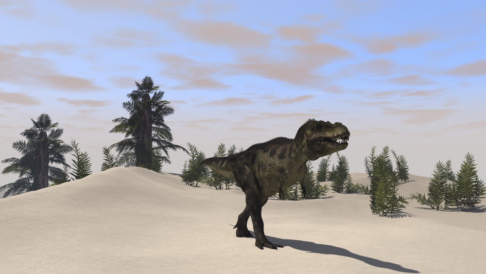 Tyrannosaurus Rex hunting for its next meal Canvas Art - Kostyantyn IvanyshenStocktrek Images (19 x 11)
