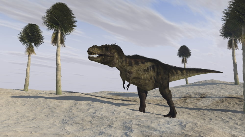 Tyrannosaurus Rex hunting for its next meal Canvas Art - Kostyantyn IvanyshenStocktrek Images (19 x 11)