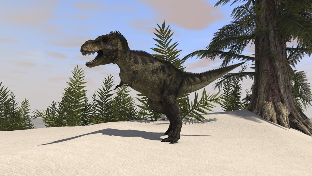 Tyrannosaurus Rex hunting for its next meal Canvas Art - Kostyantyn IvanyshenStocktrek Images (38 x 22)