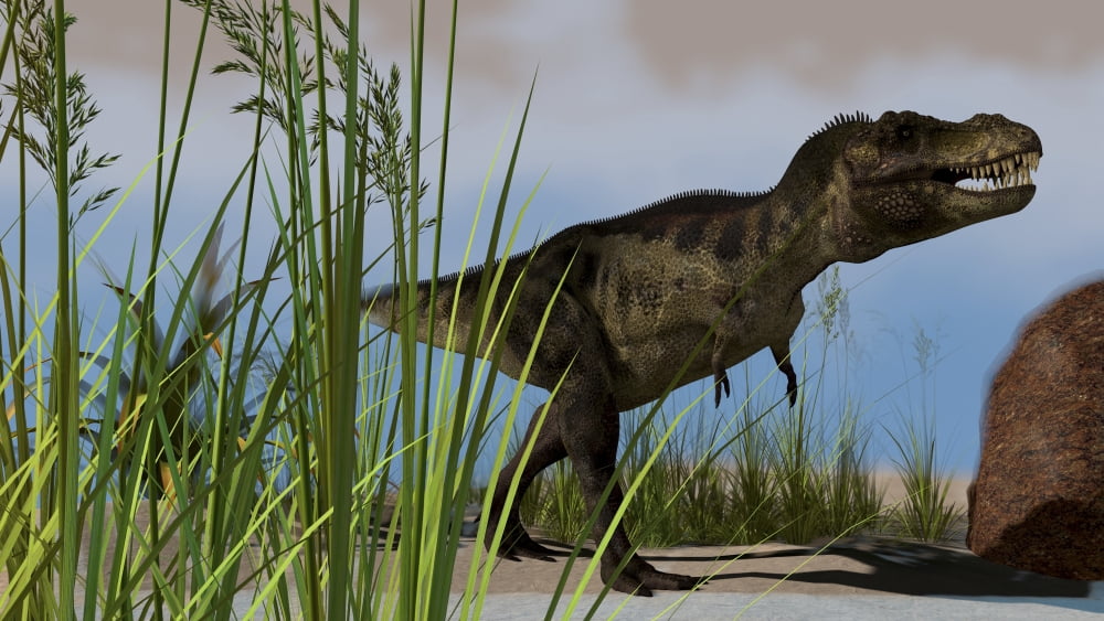 Tyrannosaurus Rex hunting for its next meal Canvas Art - Kostyantyn IvanyshenStocktrek Images (38 x 22)