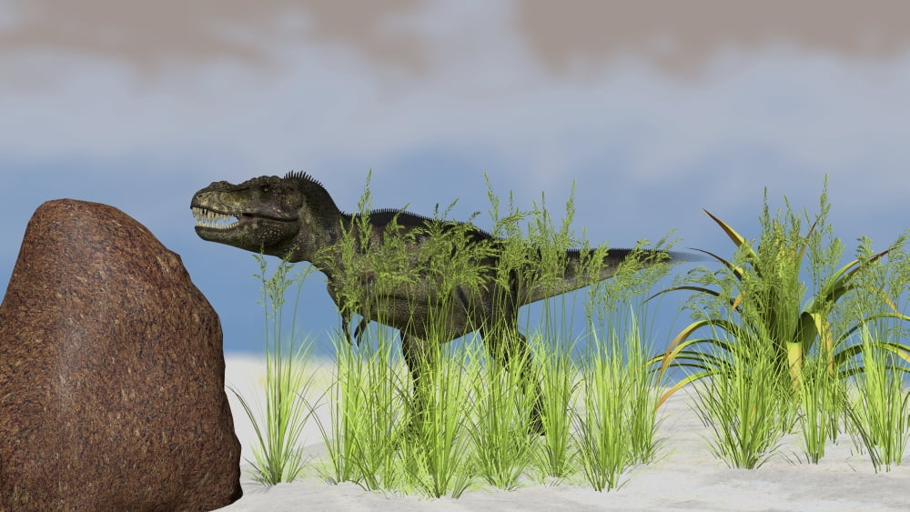 Tyrannosaurus Rex hunting for its next meal Canvas Art - Kostyantyn IvanyshenStocktrek Images (38 x 22)