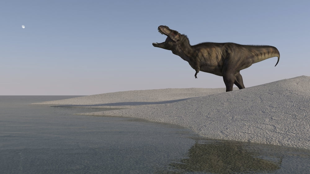 Tyrannosaurus Rex hunting for its next meal along the shoreline Canvas Art - Kostyantyn IvanyshenStocktrek Images (19 x 11)