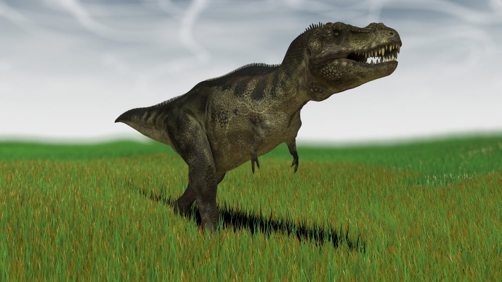 Tyrannosaurus Rex hunting for its next meal in a grassy field Canvas Art - Kostyantyn IvanyshenStocktrek Images (19 x 11)