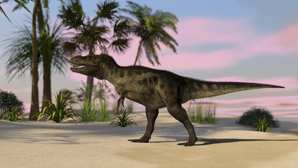 Tyrannosaurus Rex hunting in a tropical environment Canvas Art - Kostyantyn IvanyshenStocktrek Images (19 x 11)