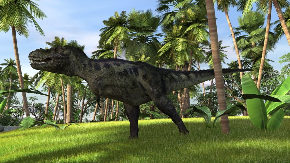 Tyrannosaurus Rex hunting in a tropical landscape Canvas Art - Kostyantyn IvanyshenStocktrek Images (19 x 11)