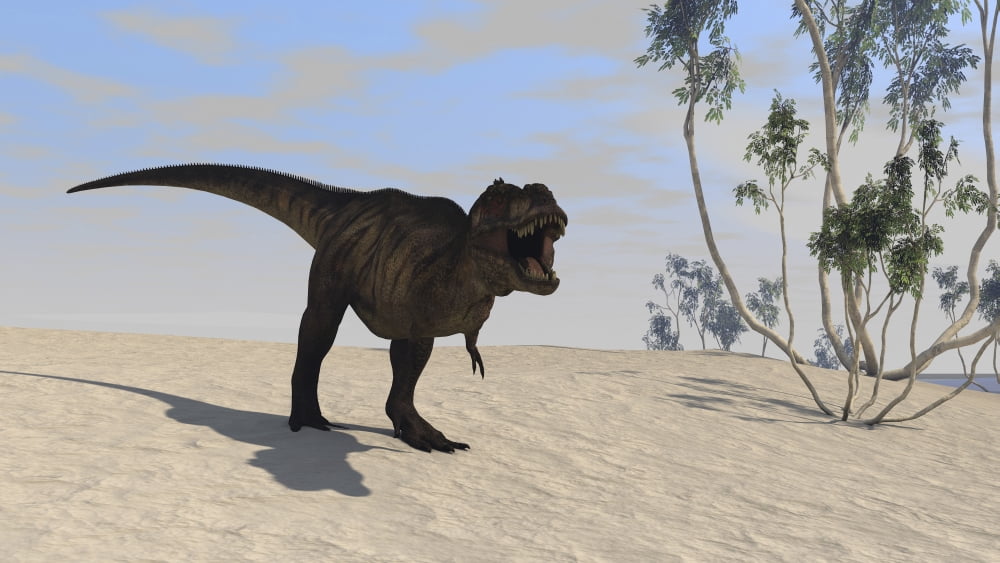 Tyrannosaurus Rex hunting in an open desert Canvas Art - Kostyantyn IvanyshenStocktrek Images (38 x 22)