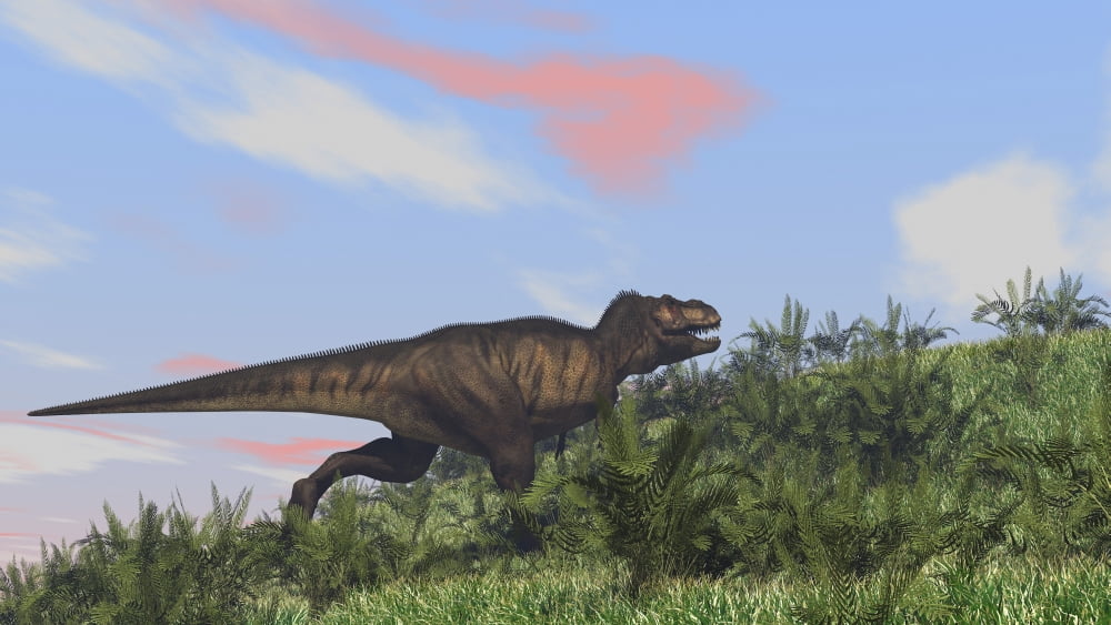 Tyrannosaurus Rex hunting in an open field Canvas Art - Kostyantyn IvanyshenStocktrek Images (19 x 11)