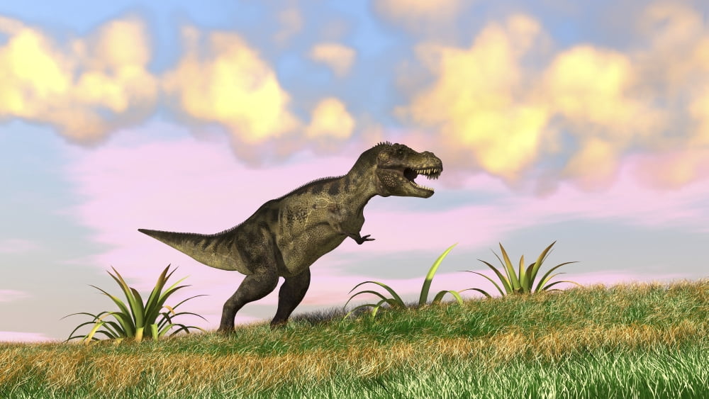 Tyrannosaurus Rex hunting in an open field Canvas Art - Kostyantyn IvanyshenStocktrek Images (19 x 11)