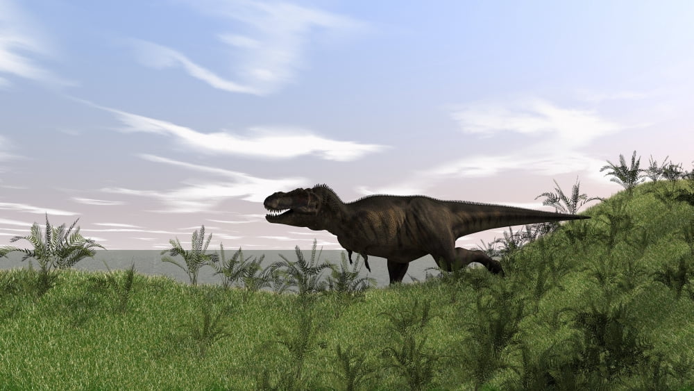 Tyrannosaurus Rex hunting in an open field Canvas Art - Kostyantyn IvanyshenStocktrek Images (38 x 22)