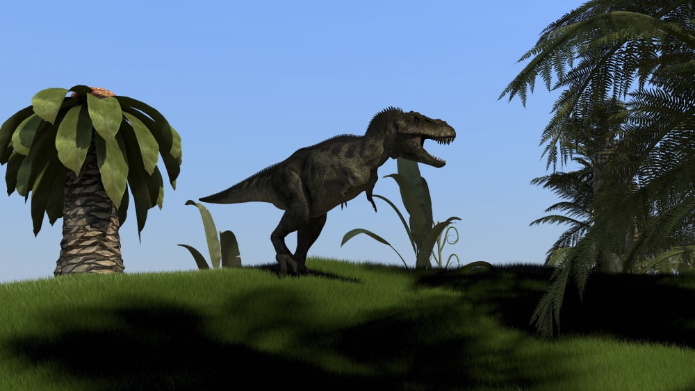 Tyrannosaurus Rex hunting in an open field Canvas Art - Kostyantyn IvanyshenStocktrek Images (38 x 22)