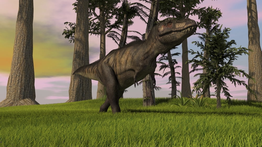 Tyrannosaurus Rex hunting in grasslands Canvas Art - Kostyantyn IvanyshenStocktrek Images (38 x 22)