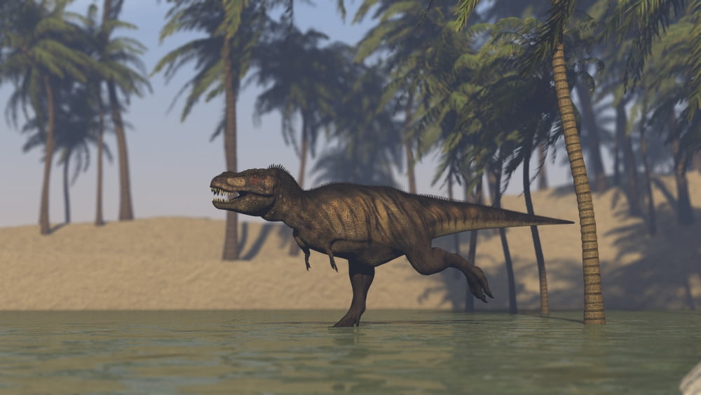 Tyrannosaurus Rex hunting in shallow water Canvas Art - Kostyantyn IvanyshenStocktrek Images (38 x 22)