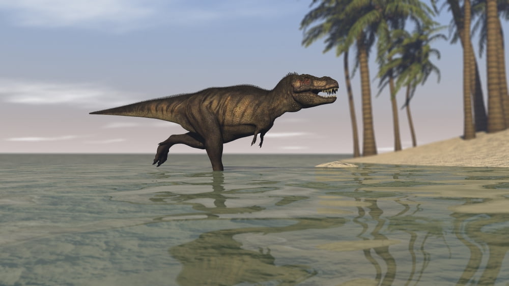 Tyrannosaurus Rex hunting in shallow water Canvas Art - Kostyantyn IvanyshenStocktrek Images (38 x 22)