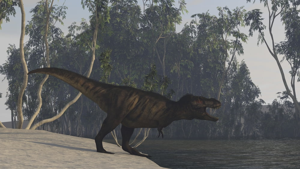 Tyrannosaurus Rex hunting on the edge of shoreline Canvas Art - Kostyantyn IvanyshenStocktrek Images (19 x 11)