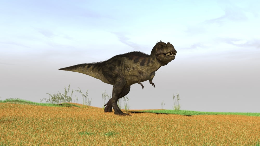 Tyrannosaurus Rex in a grassy field Canvas Art - Kostyantyn IvanyshenStocktrek Images (19 x 11)
