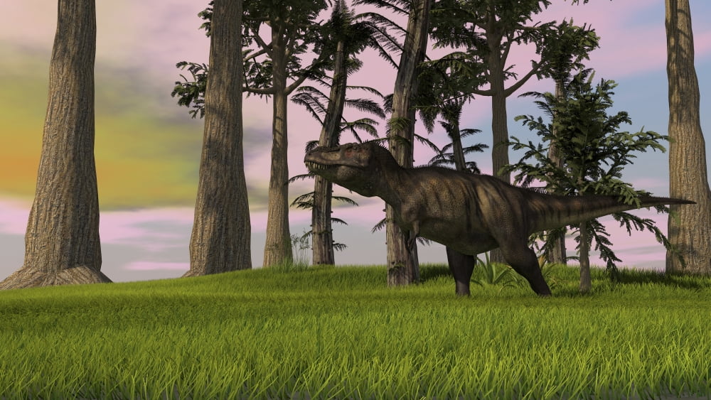 Tyrannosaurus Rex in a grassy field Canvas Art - Kostyantyn IvanyshenStocktrek Images (19 x 11)