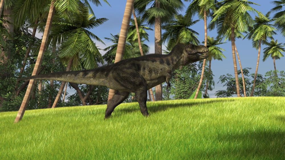 Tyrannosaurus Rex in a grassy field Canvas Art - Kostyantyn IvanyshenStocktrek Images (38 x 22)