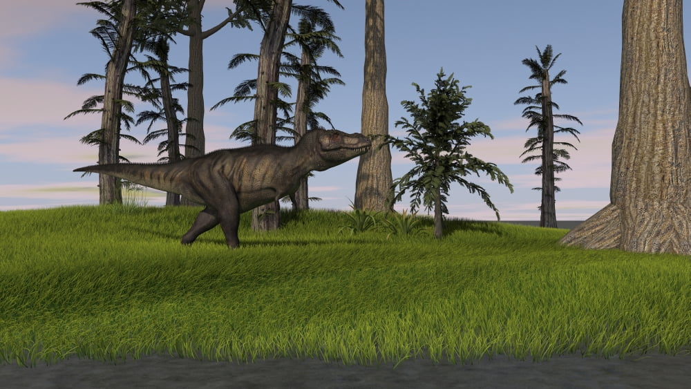 Tyrannosaurus Rex in a grassy field Canvas Art - Kostyantyn IvanyshenStocktrek Images (38 x 22)