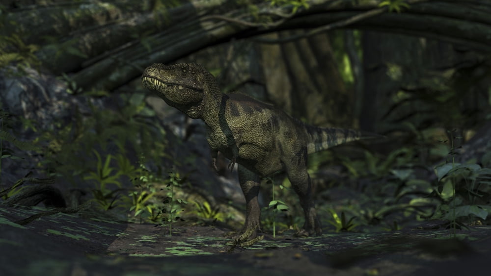 Tyrannosaurus Rex in a prehistoric forest Canvas Art - Kostyantyn IvanyshenStocktrek Images (19 x 11)