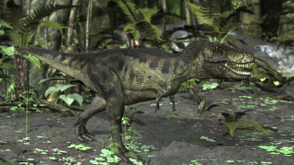 Tyrannosaurus Rex in prehistoric woodlands Canvas Art - Kostyantyn IvanyshenStocktrek Images (38 x 22)