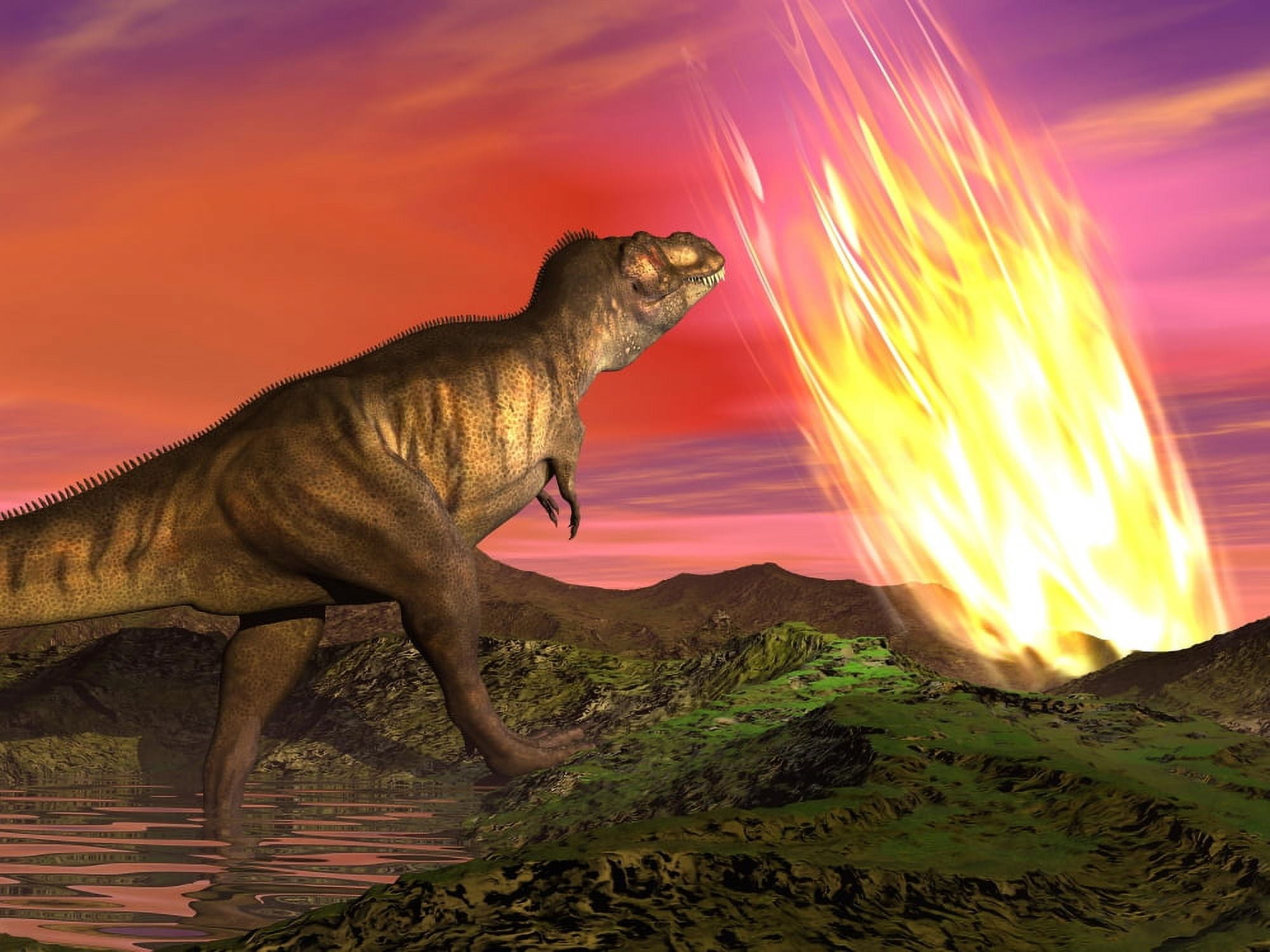 Tyrannosaurus Rex observes a meteorite crashing into Earth Canvas Art - Elena DuvernayStocktrek Images (33 x 25)