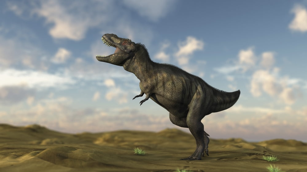 Tyrannosaurus Rex on desert terrain Canvas Art - Kostyantyn IvanyshenStocktrek Images (38 x 22)