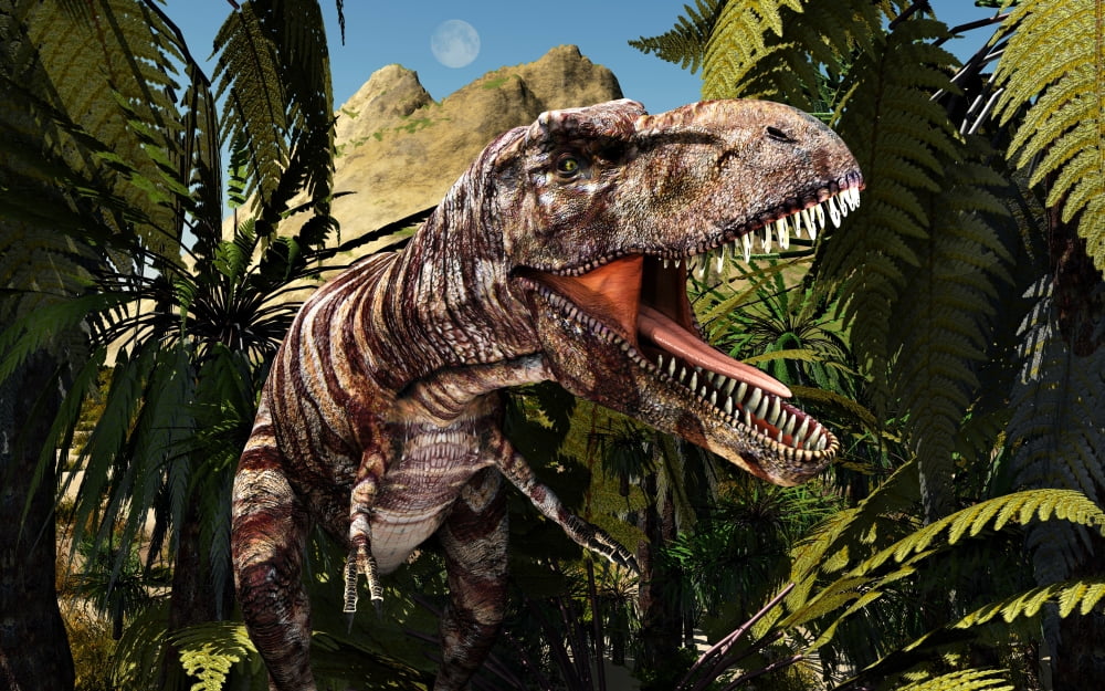 Tyrannosaurus Rex on the lookout for its next meal Canvas Art - Mark StevensonStocktrek Images (18 x 12)