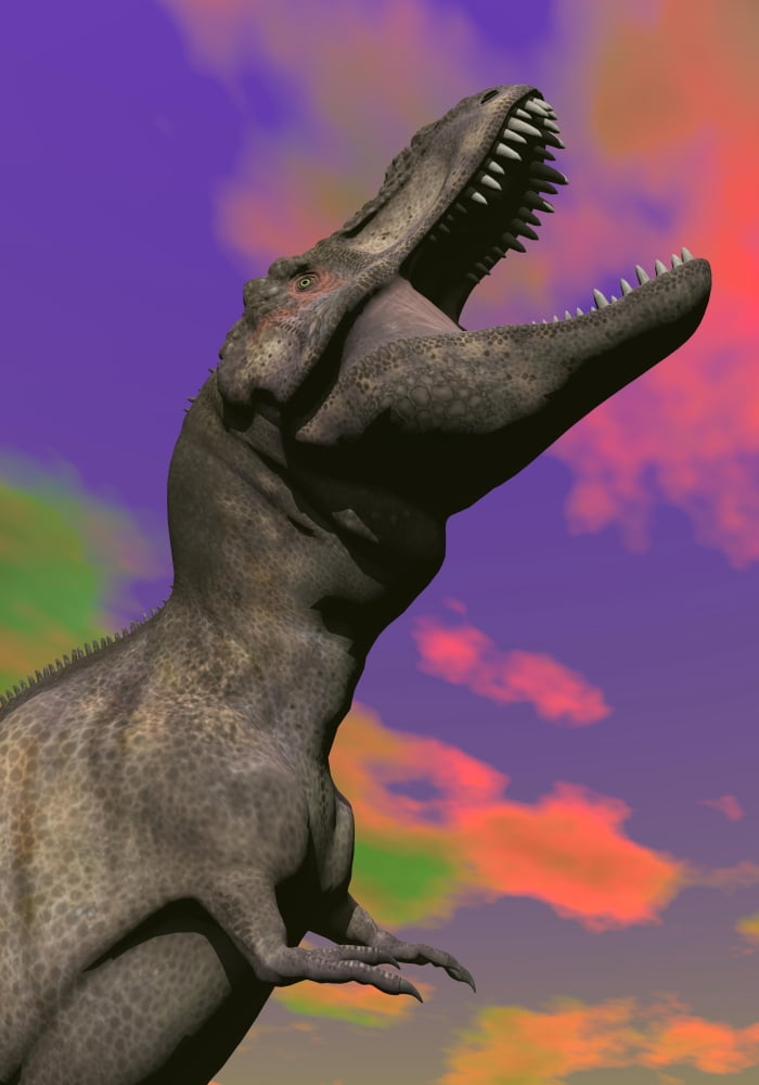 Tyrannosaurus Rex roaring against a colorful sky Canvas Art - Elena DuvernayStocktrek Images (12 x 17)