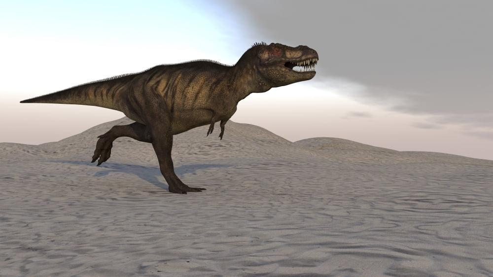 Tyrannosaurus Rex running across a desert landscape Canvas Art - Kostyantyn IvanyshenStocktrek Images (19 x 11)