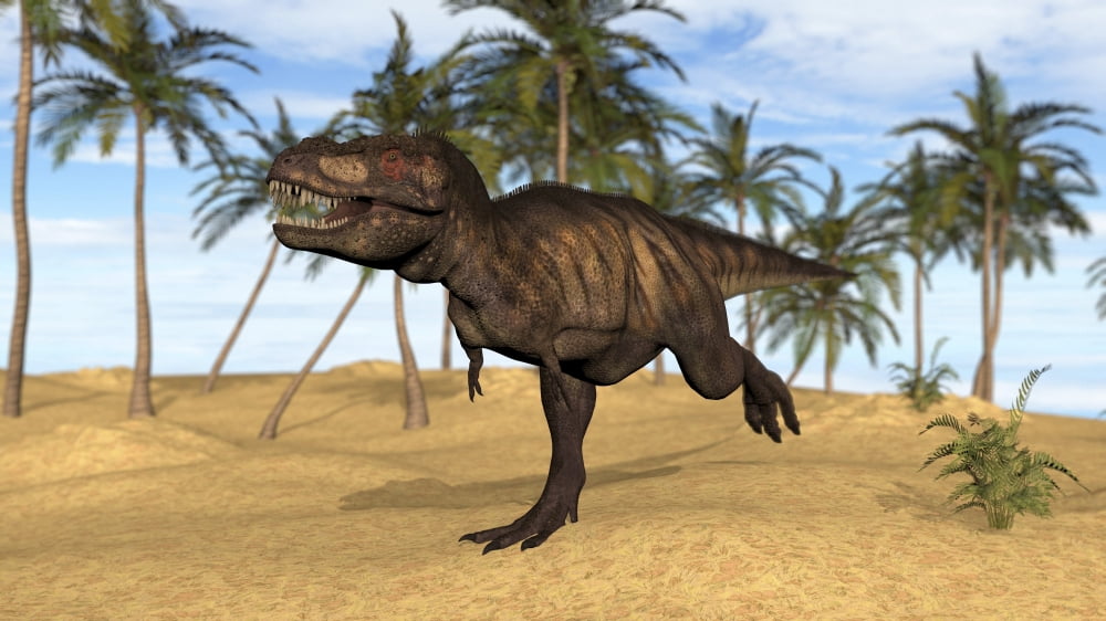 Tyrannosaurus Rex running in a prehistoric environment Canvas Art - Kostyantyn IvanyshenStocktrek Images (19 x 11)