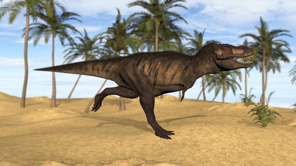 Tyrannosaurus Rex running in a prehistoric environment Canvas Art - Kostyantyn IvanyshenStocktrek Images (38 x 22)