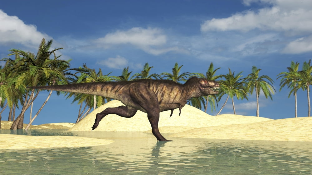 Tyrannosaurus Rex running through a riverbed Canvas Art - Kostyantyn IvanyshenStocktrek Images (19 x 11)