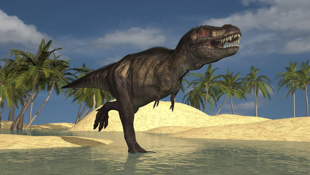 Tyrannosaurus Rex running through shallow water Canvas Art - Kostyantyn IvanyshenStocktrek Images (38 x 22)