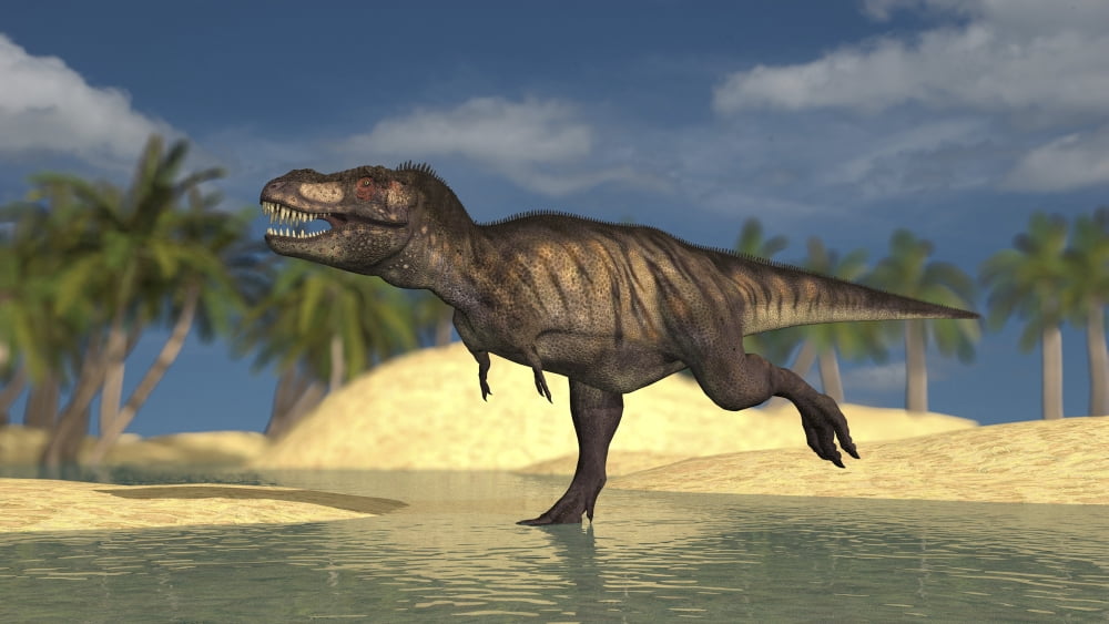Tyrannosaurus Rex running through shallow water Canvas Art - Kostyantyn IvanyshenStocktrek Images (38 x 22)